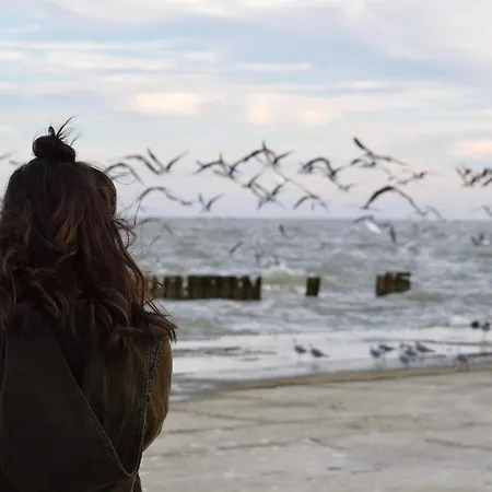 White Pearl 0.11 * טימנדורפר שטרנד